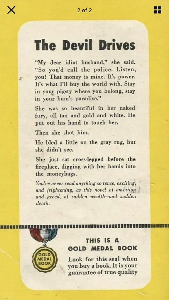 Back cover of vintage paperback book titled, "The Devil Drives" that has an excerpt from the book